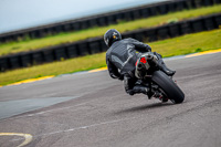 PJ-Motorsport-2019;anglesey-no-limits-trackday;anglesey-photographs;anglesey-trackday-photographs;enduro-digital-images;event-digital-images;eventdigitalimages;no-limits-trackdays;peter-wileman-photography;racing-digital-images;trac-mon;trackday-digital-images;trackday-photos;ty-croes